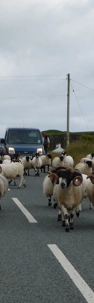 Mietwagen-Reise Schottland